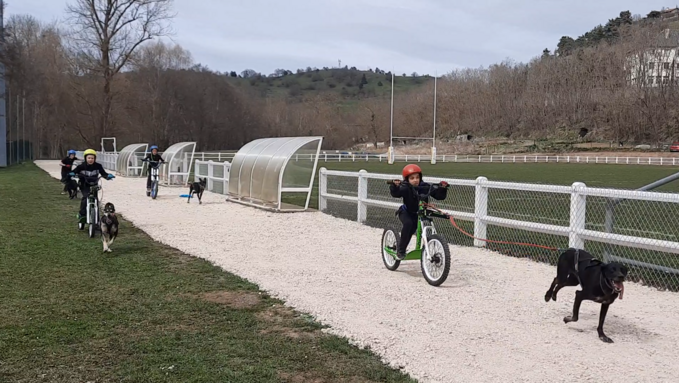 Capture d’écran (251).png